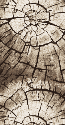 Дорожки дизайн 15851 цвет 10842