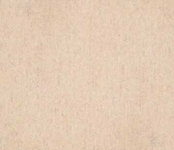 Линолеум Tarkett Travertine Pro Beige 01