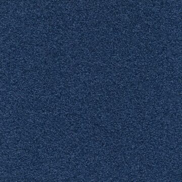 Ковровая плитка Modulyss (Модулус) Perpetual Xtra (Перпечуал Экстра) 55F