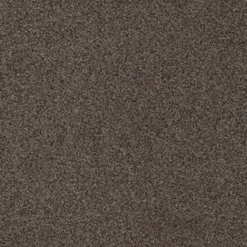 Ковровая плитка Modulyss (Модулус) Gleam (Глим) 894