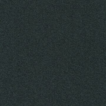 Ковровая плитка Modulyss (Модулус) Millennium N