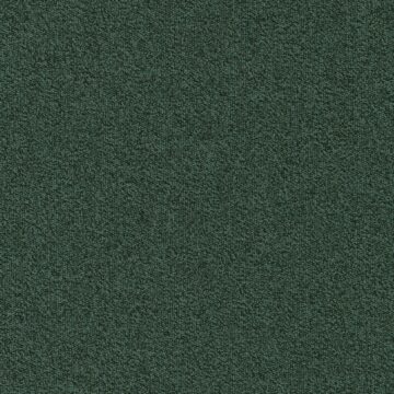 Ковровая плитка Modulyss (Модулус) Millennium N