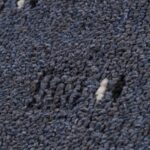 Ковровая дорожка Скрулл 01008 Серый